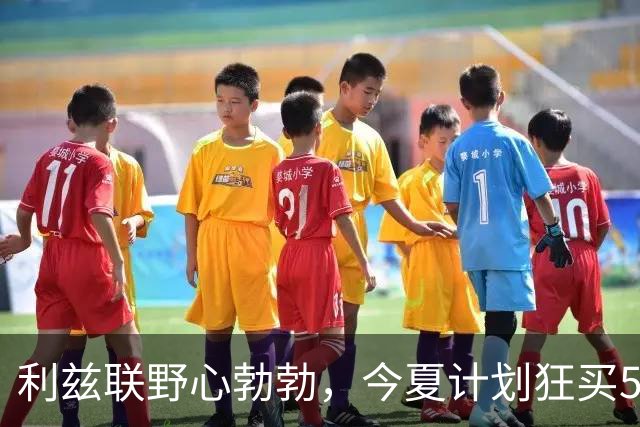 利兹联野心勃勃，今夏计划狂买5人补强英超阵容