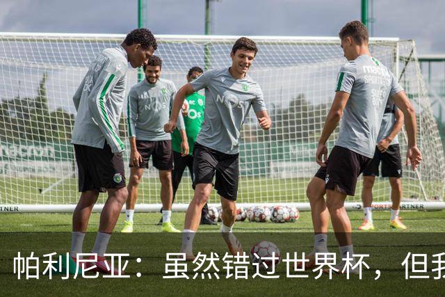 帕利尼亚：虽然错过世界杯，但我依然乐观向前！